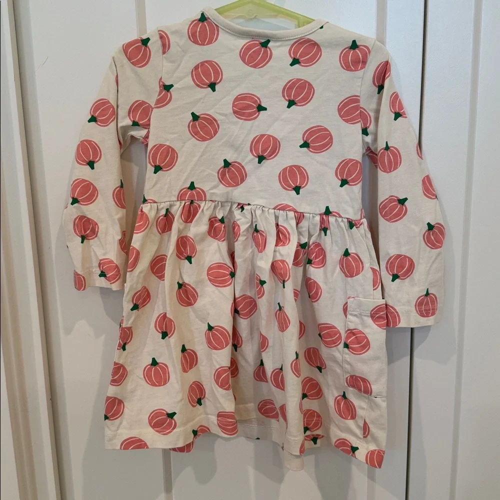 Hanna Andersson pink pumpkin print dress